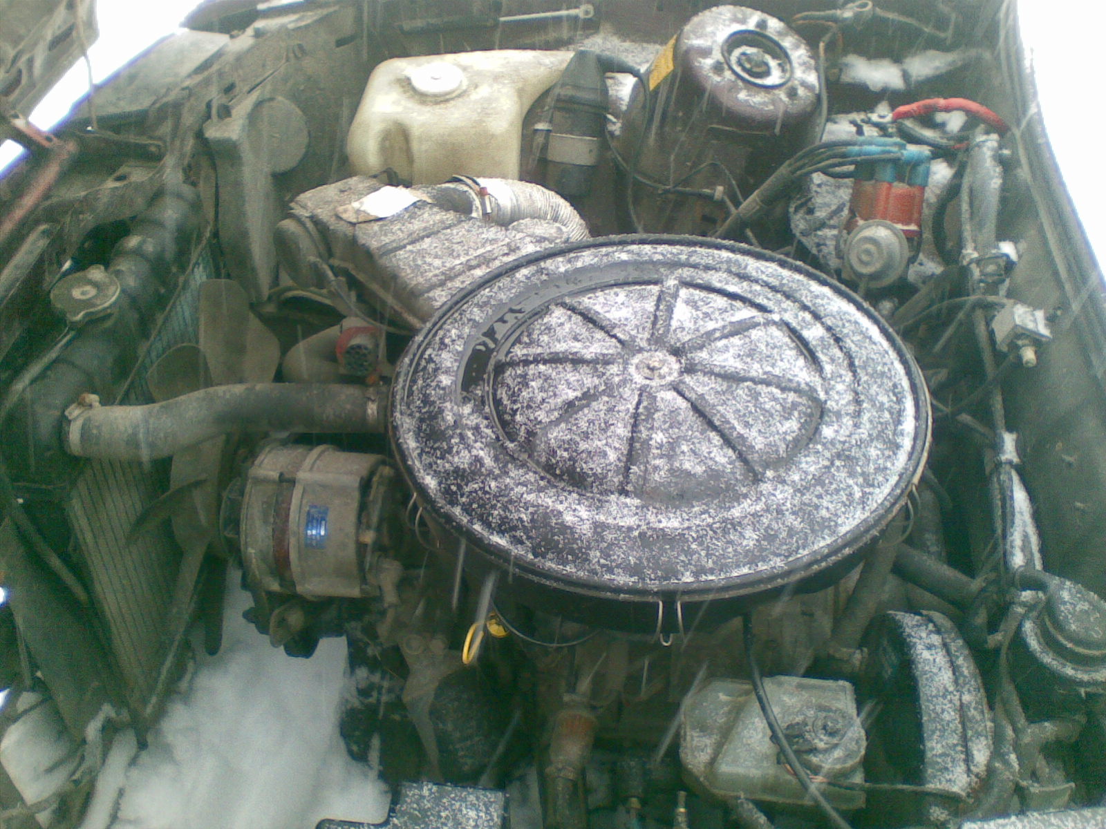 12122010.jpg
