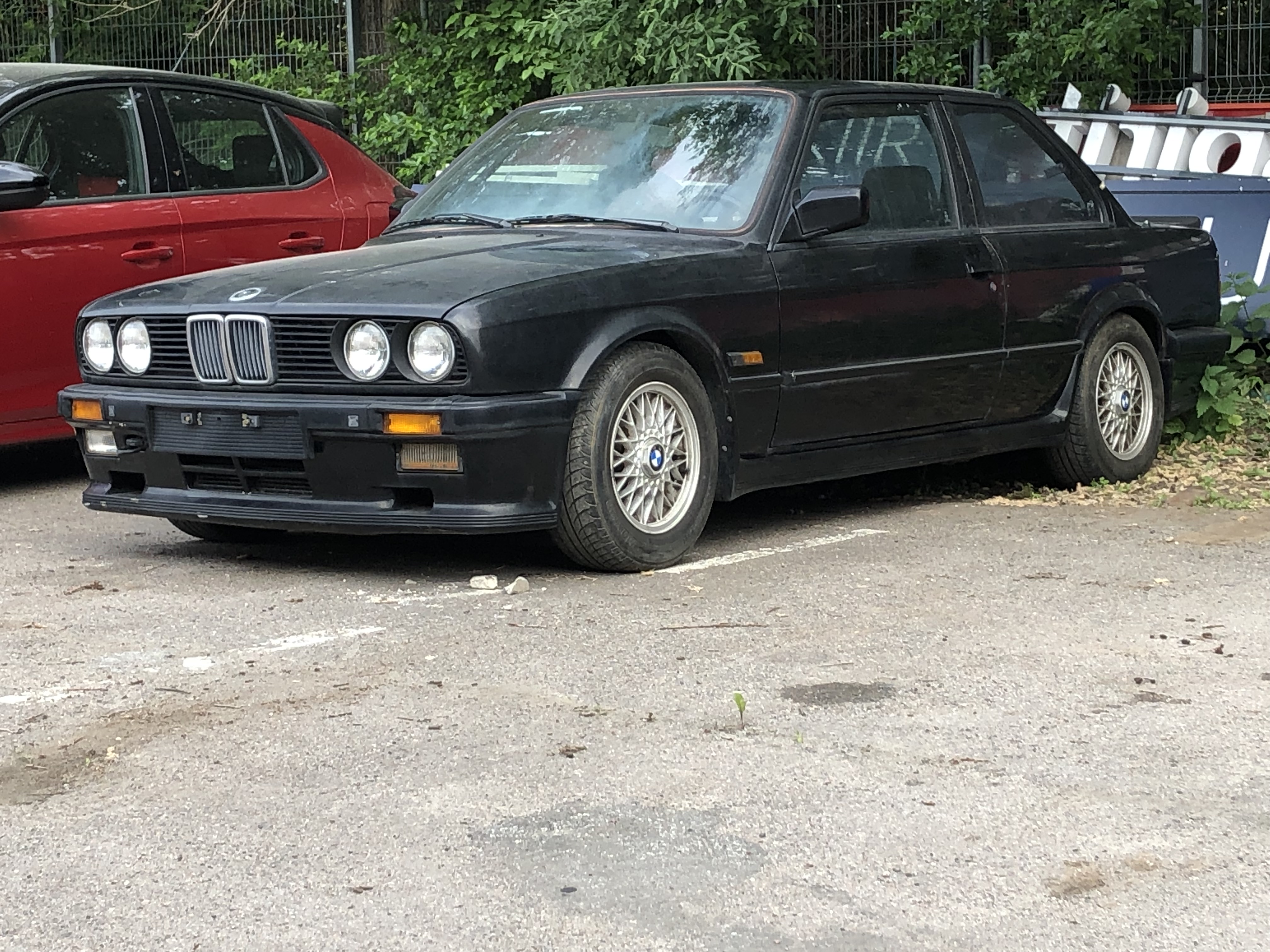 IMG_3544.jpeg