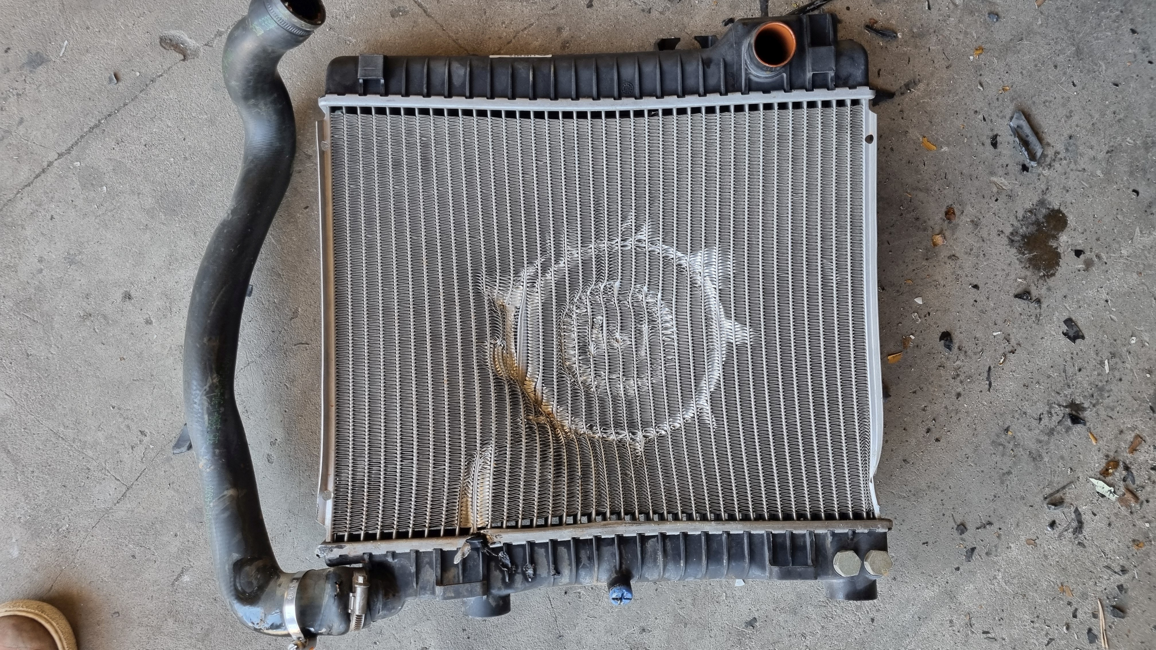 2024-08-29 12.03.55.jpg