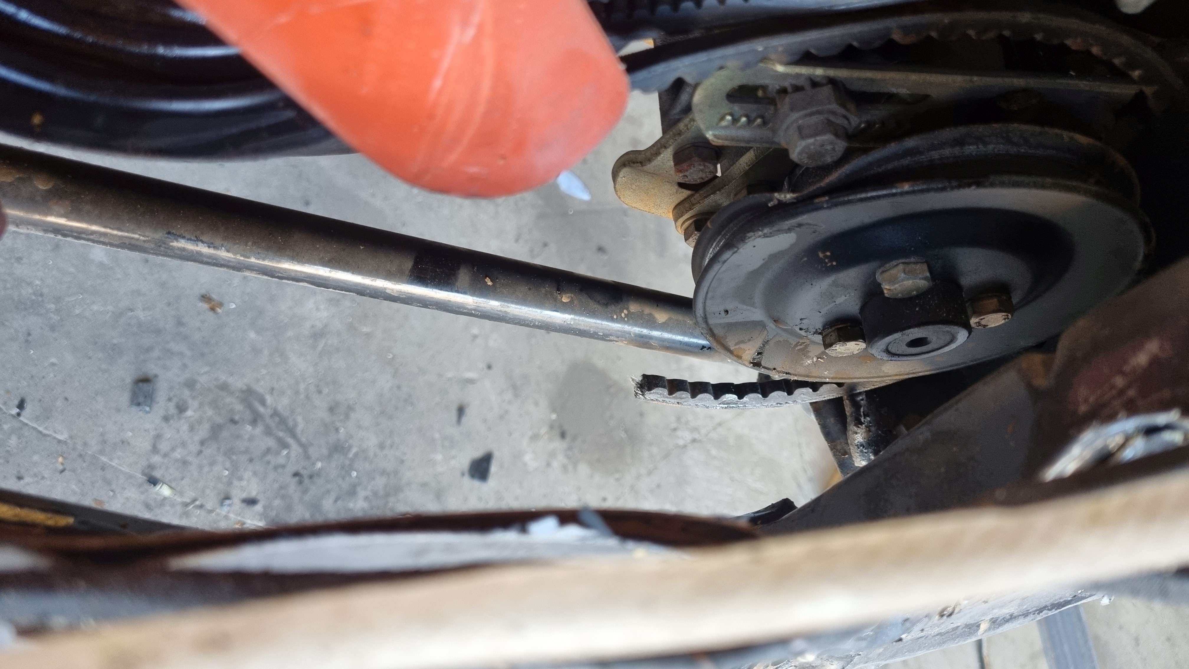 2024-08-29 12.04.33.jpg