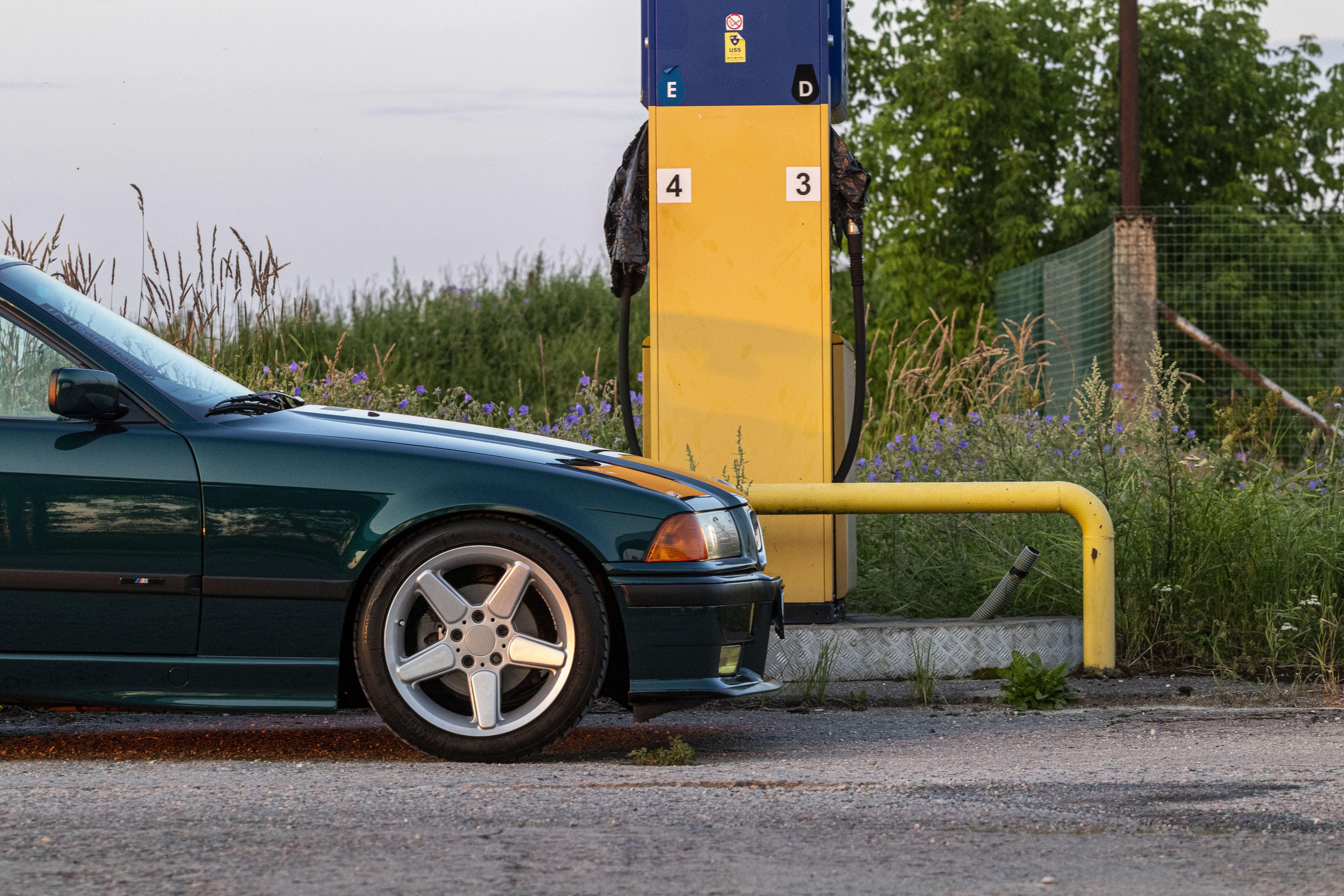 Jäneda tankla10.jpeg